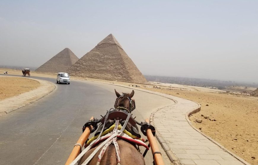 Private trip to Cairo 1 Day