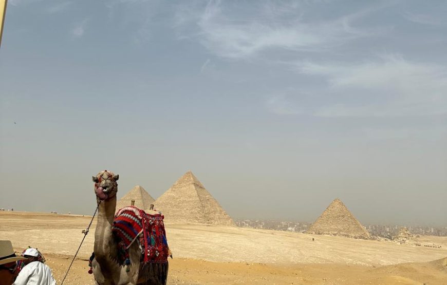 Private trip to Cairo 1 Day